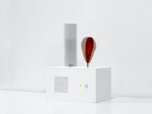 Design Trust Critically Homemade - Dancing With Nature A Healing Metronome