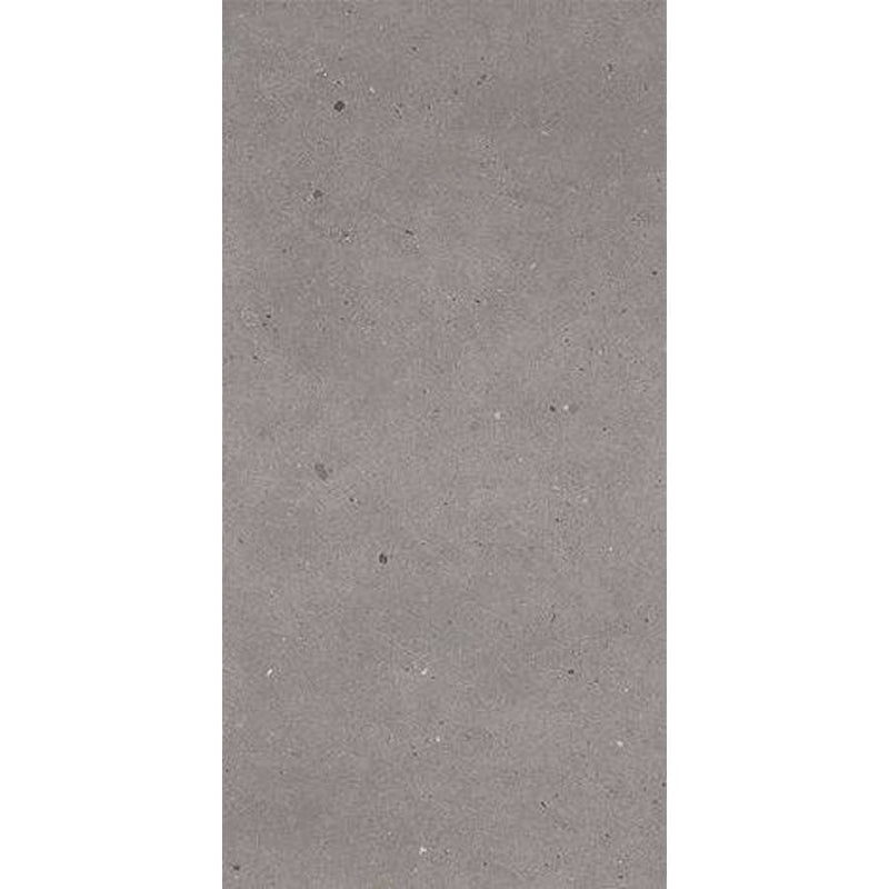Fjord AS209X864R10 Grey Fjord Grey Fjord Honed Rectified Full Body Porcelain Tile 1200 x 600 x 8 mm