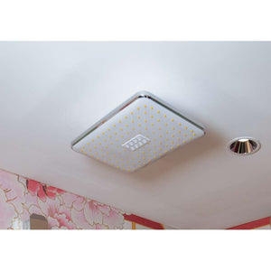 LIMBONSAI 982269CM Ceiling-mounted Headshower 290 x 190 mm in Chrome