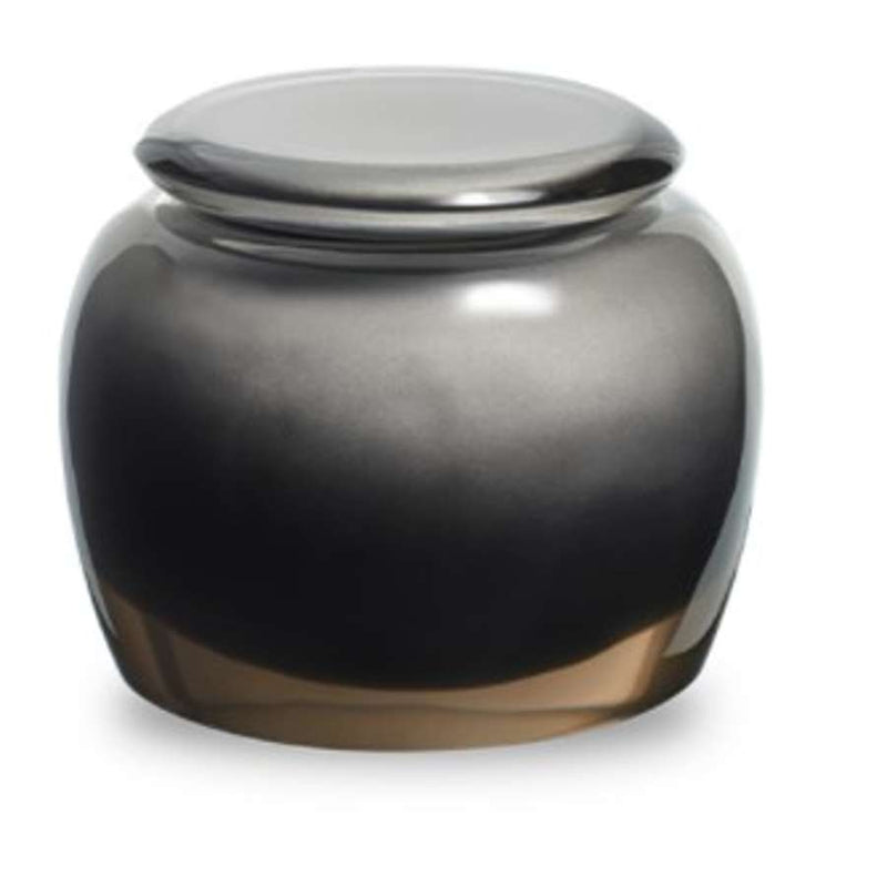 SV Casa Pebble KYHPTN08IC Box With Lid in silver and transparant