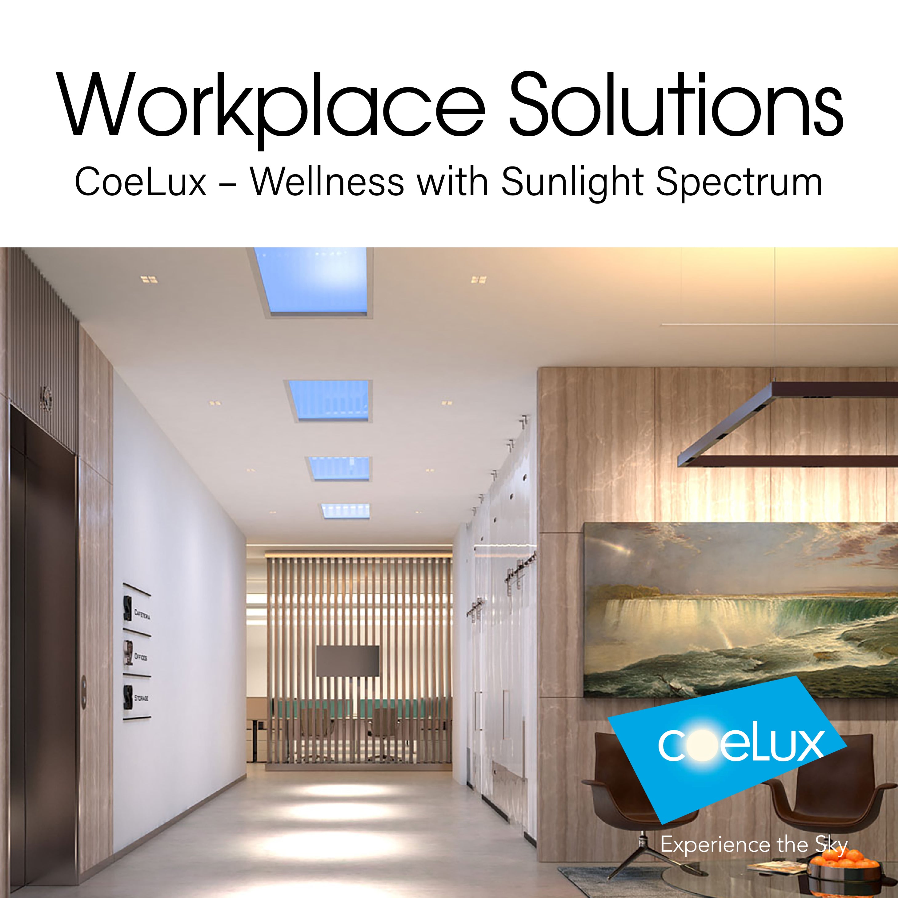Workplace Solutions | CoeLux - Wellness with Sunlight Spectrum