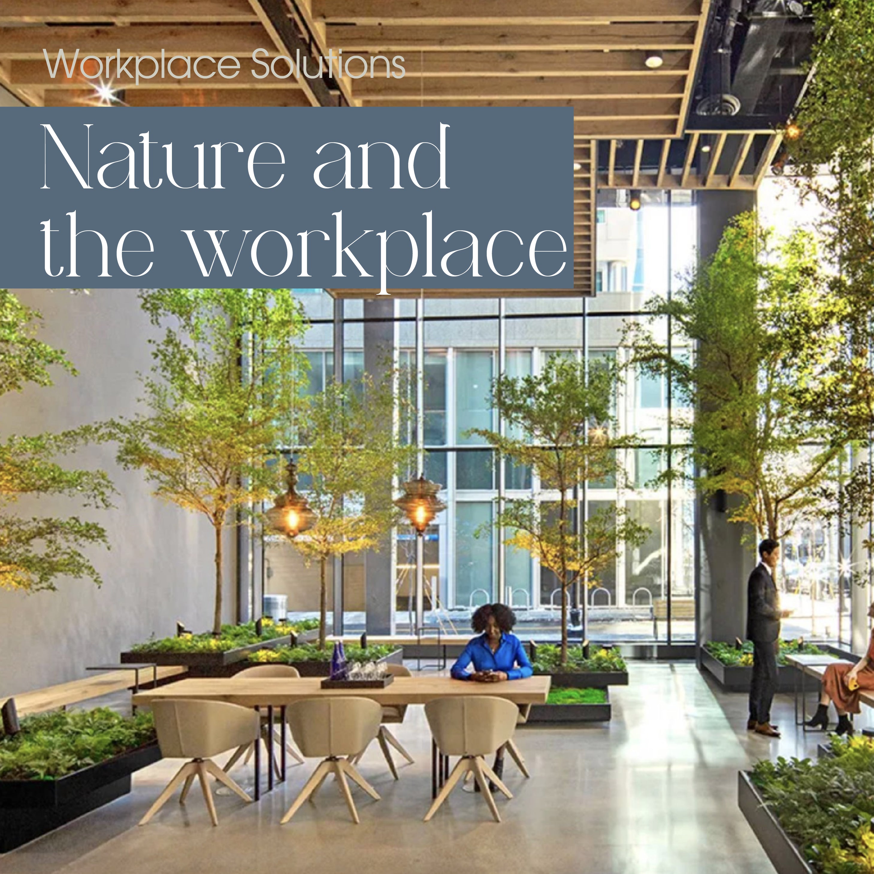 COLOURLIVING | WORKPLACE SOLUTIONS | NATURE AND THE WORKPLACE