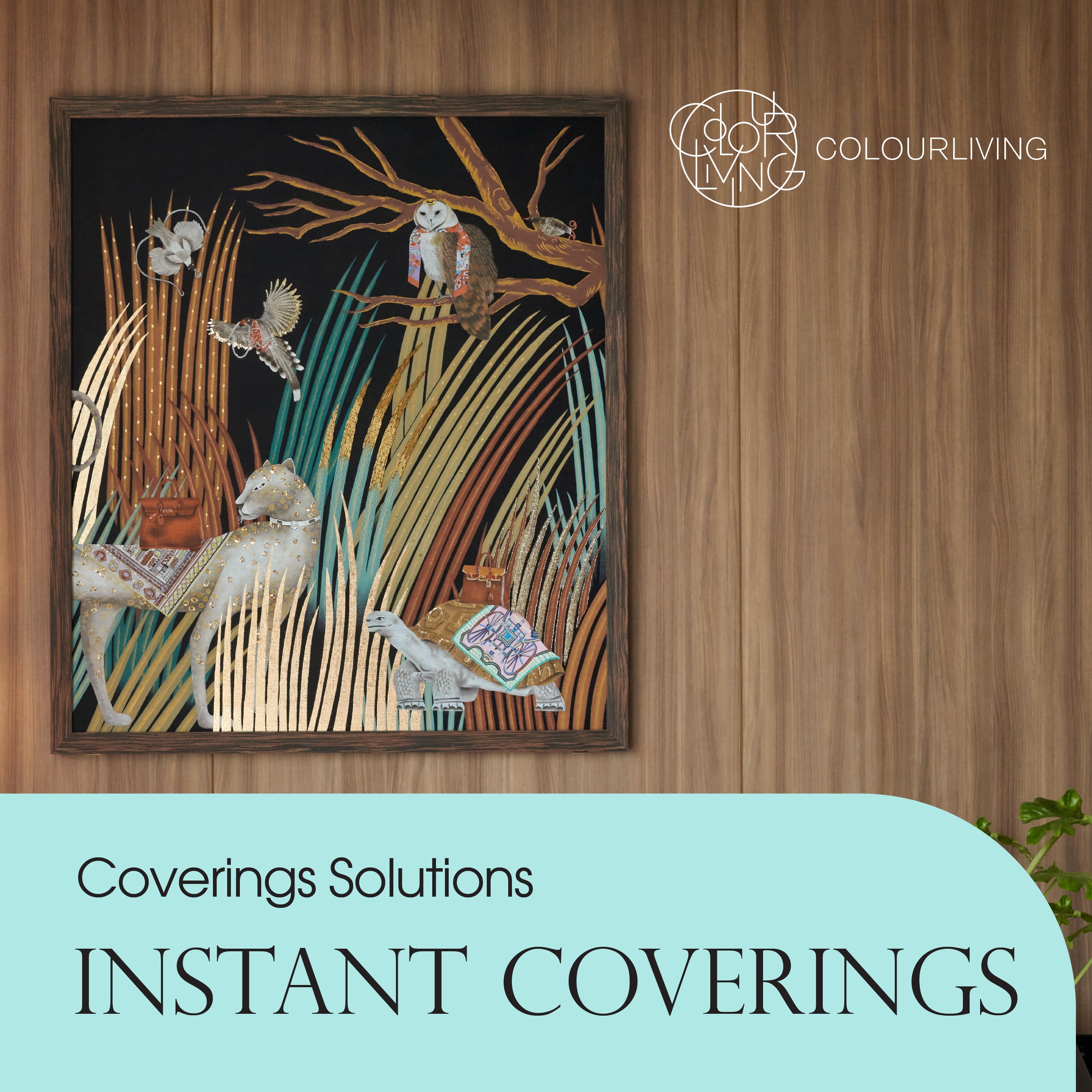 COLOURLIVING | Coverings Solutions | Instant Coverings