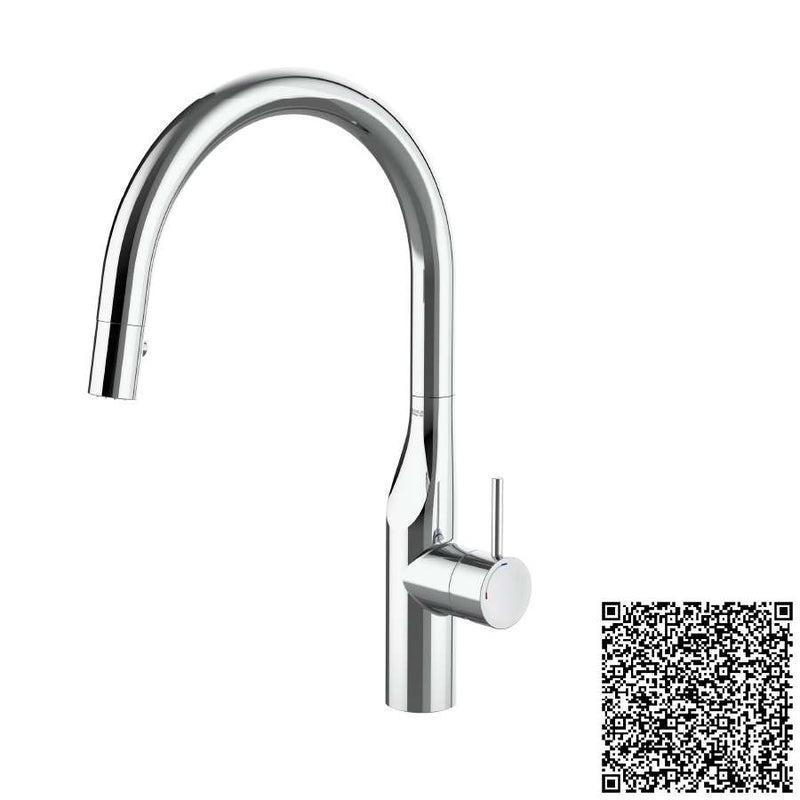 Glera Single-lever kitchen mixer with swivel spout and two-function pull-out shower