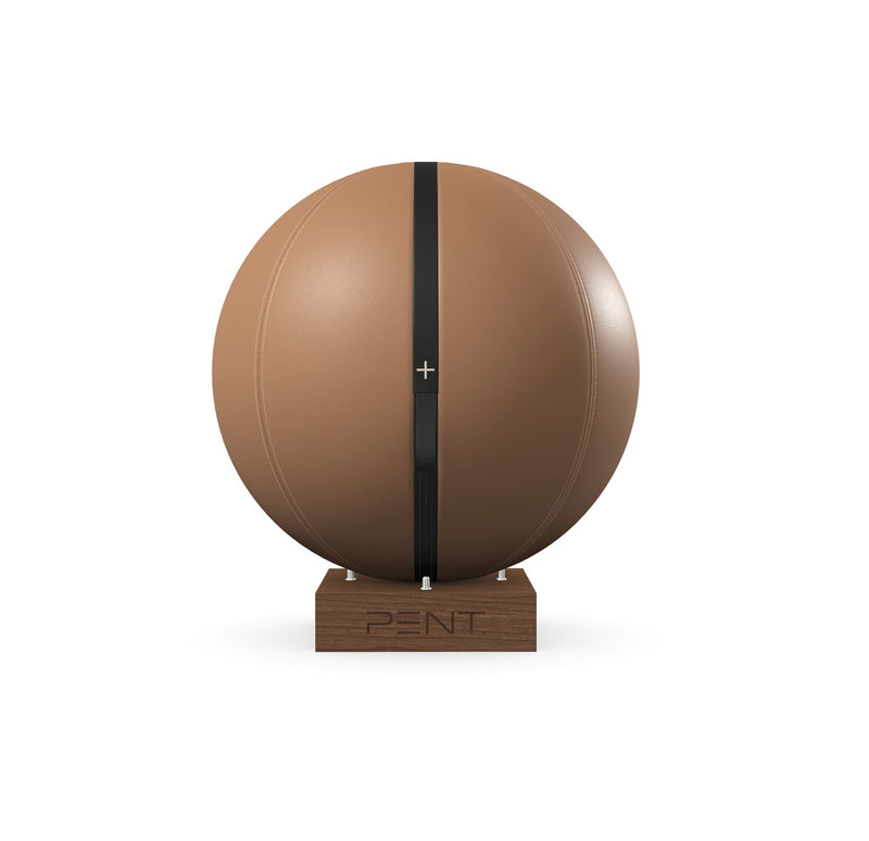 MESNA??Fitness Ball Set
