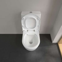 Avento Washdown toilet bowl for close-coupled WC-suite, rimless, floor-standing, with DirectFlush, White Alpin