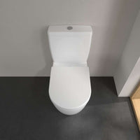 Avento Washdown toilet bowl for close-coupled WC-suite, rimless, floor-standing, with DirectFlush, White Alpin