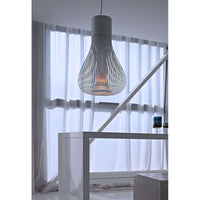 Chasen F1636009 Suspension Lamp
