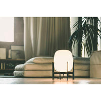 CESTD02 (CES03) Lighting Table Lamp, Frame Stainless steel, with natural colour leather handle with UKA01 UK plug and E27 LED bulb 12W