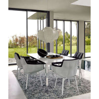 P1GN, Fabric Aiace 2576200, Frame Black Painted 01510, Shell Tortora Shell 0028T
