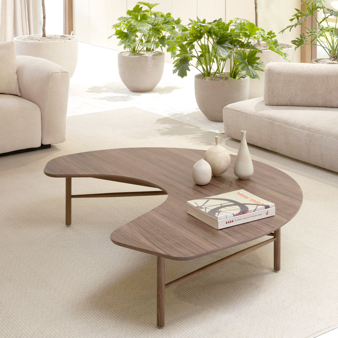Modern living room with a wooden coffee table, books, and potted plants.