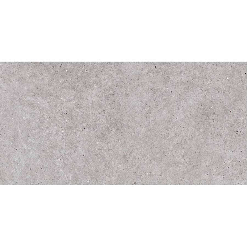 BASEL FKTW160021/FKT7M54021 Gris Natural-Matte Rectified Full Body Porcelain Tile 600 x 1200 x 7 mm